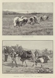 Schizzi in un campo di esercitazione indiano